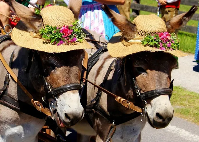 Haus Intaba شقة رامساو أم داتشستين